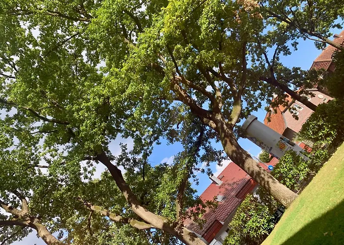아파트 Olivewood Apartment, 6 People 부르그베델